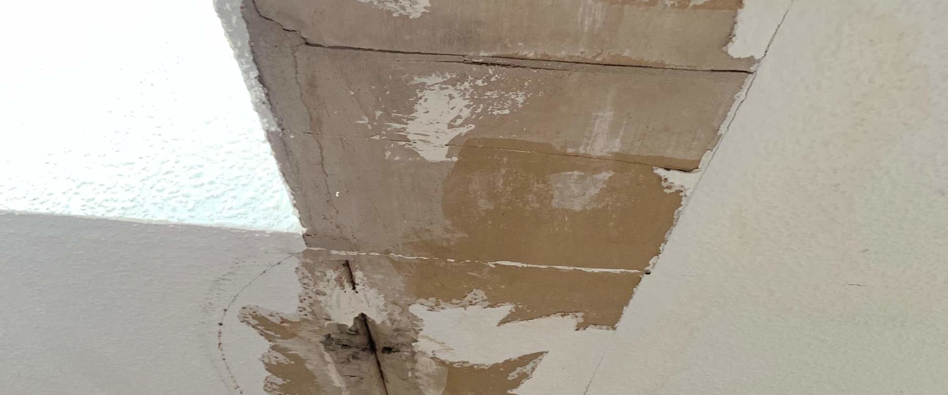 Expertentipps zur Behebung von Wasserschäden in Ihrem Zuhause